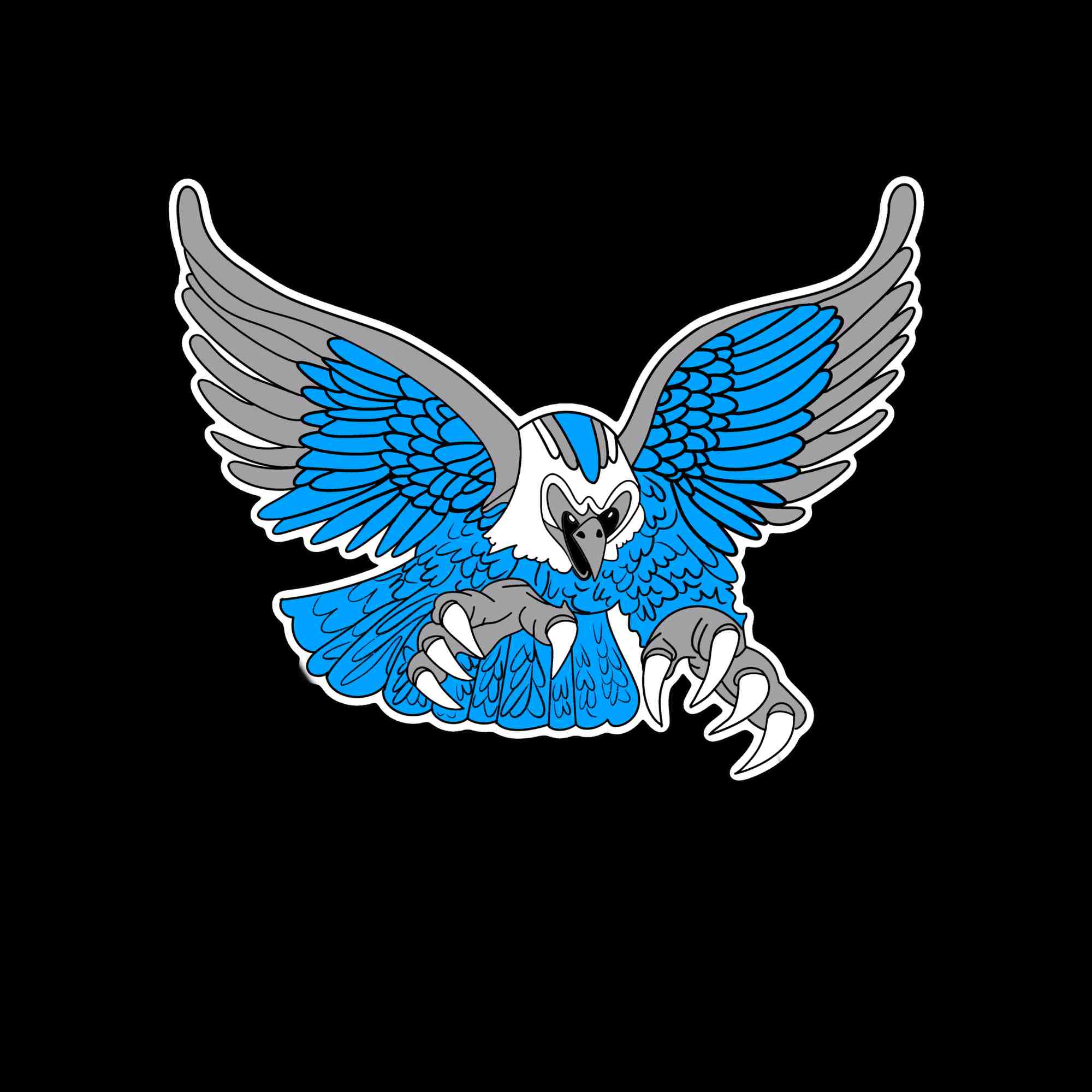 Nighthawks/Thunderhawks