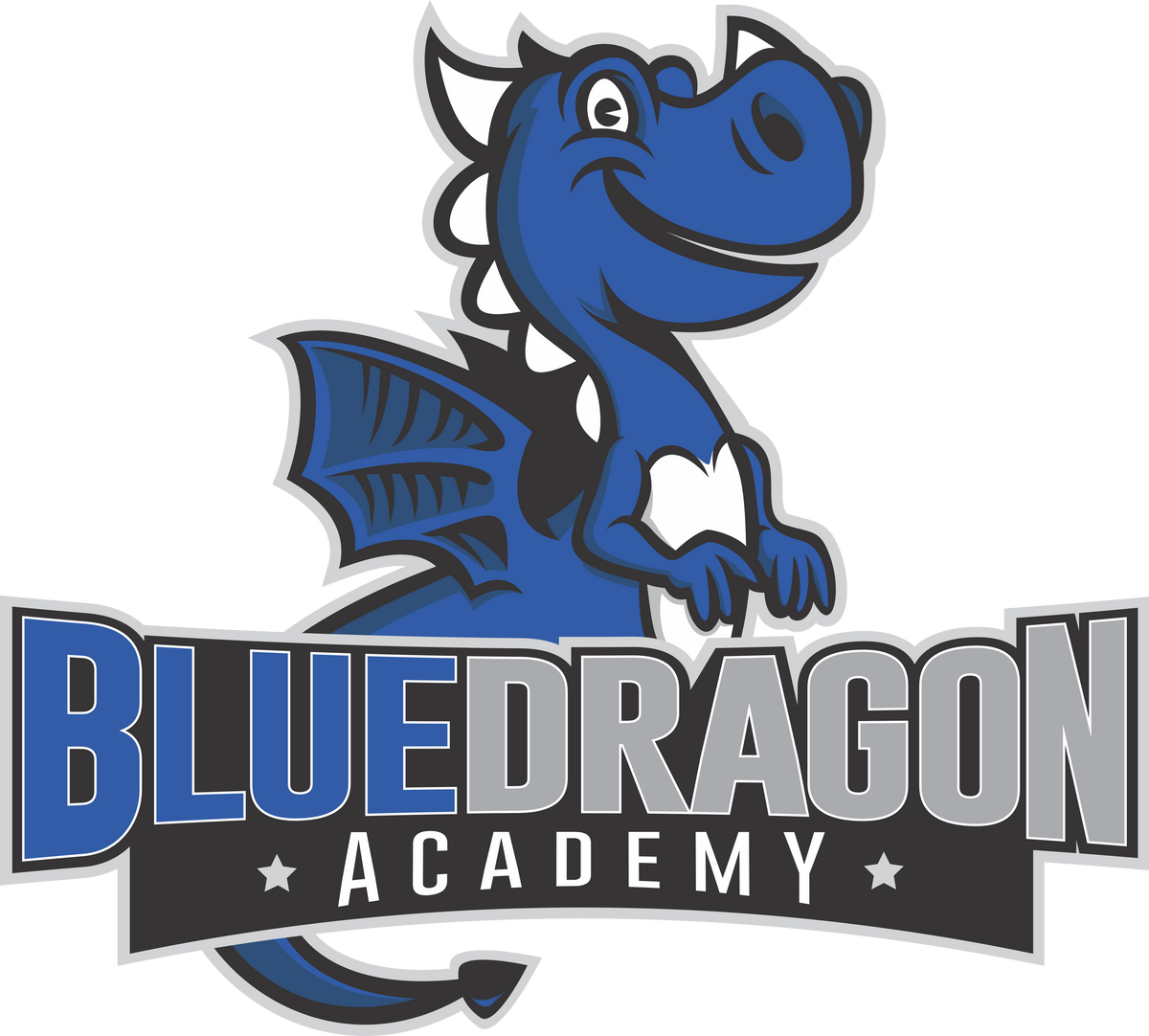Blue Dragon Academy