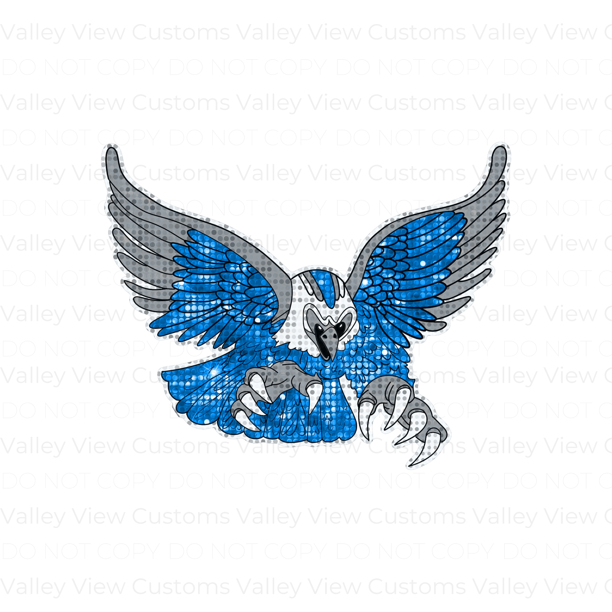 TDA Nighthawks/Thunderhawks