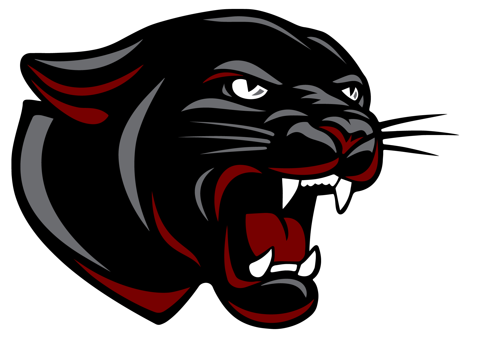 Platte-Geddes Panthers