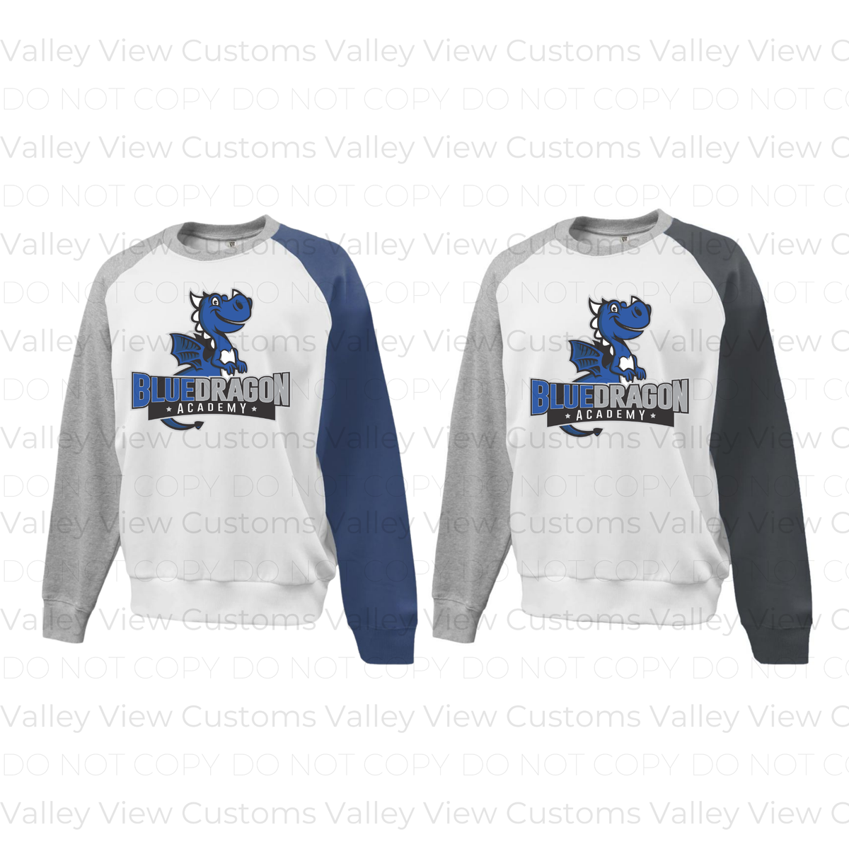 Colorblock Crewneck